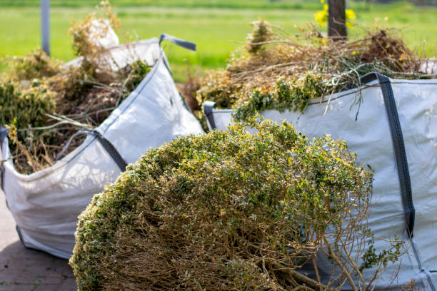 Best Recycling Services for Junk  in Redan, GA